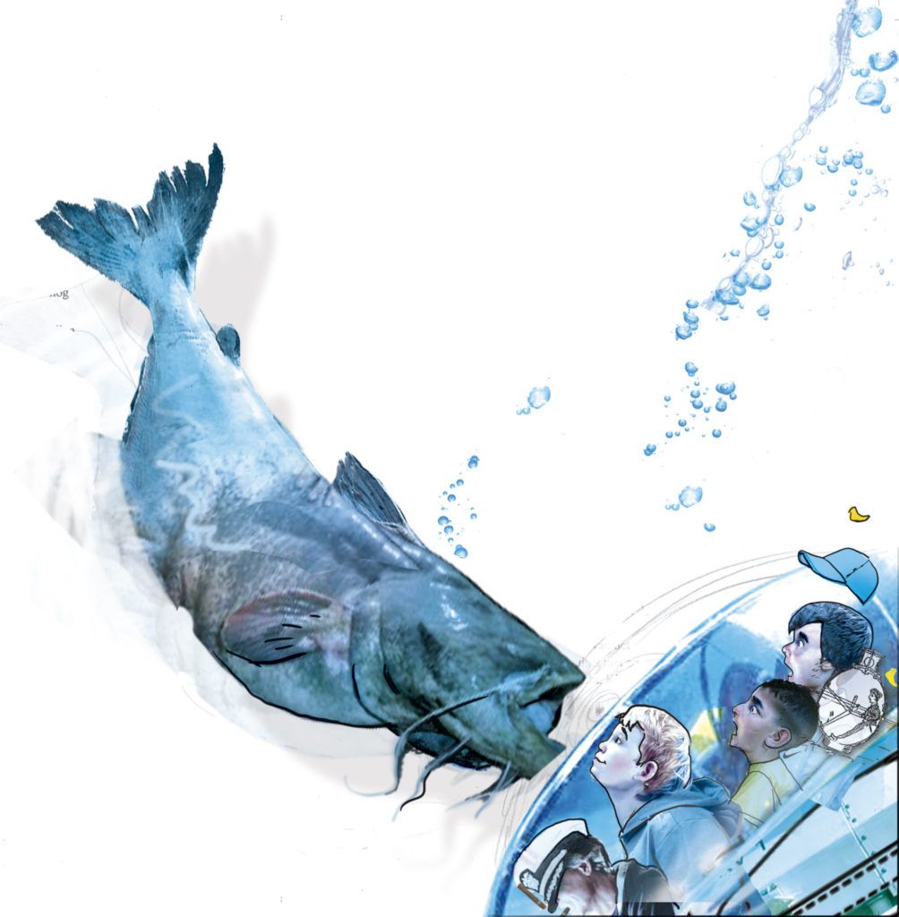 Monster Vis Monstervis – ComicHouse